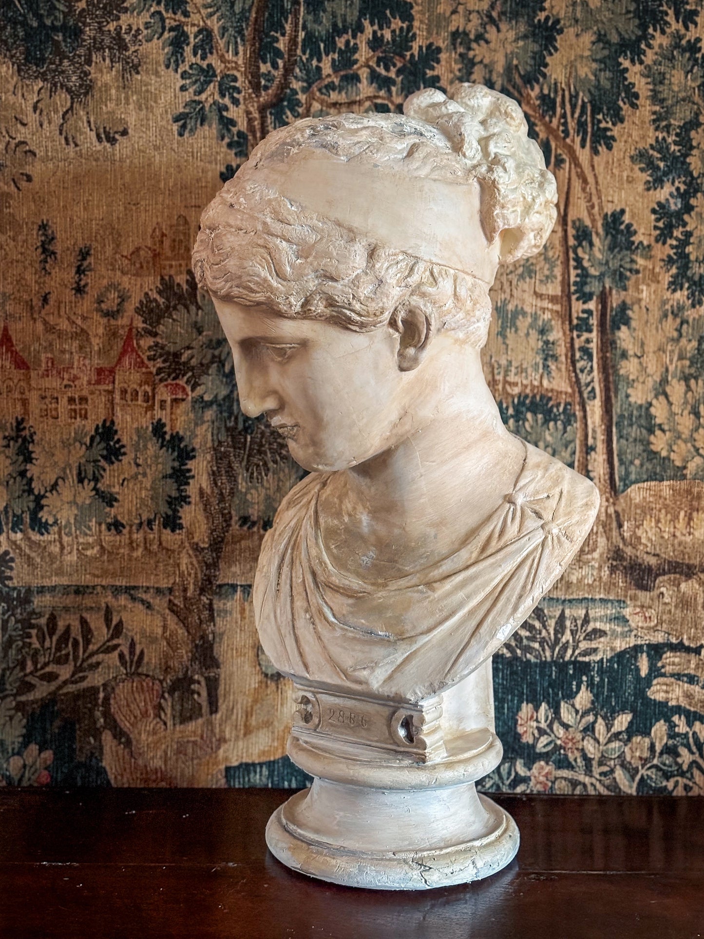 19th Century Bust of a Young Woman
