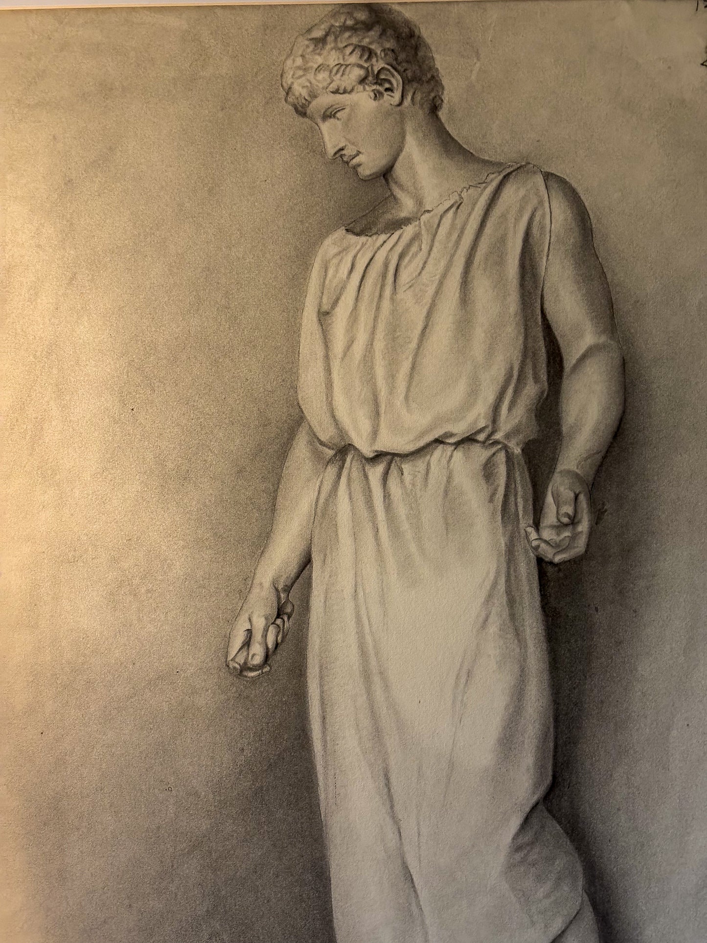 Cast drawing after the Capitoline Antinous