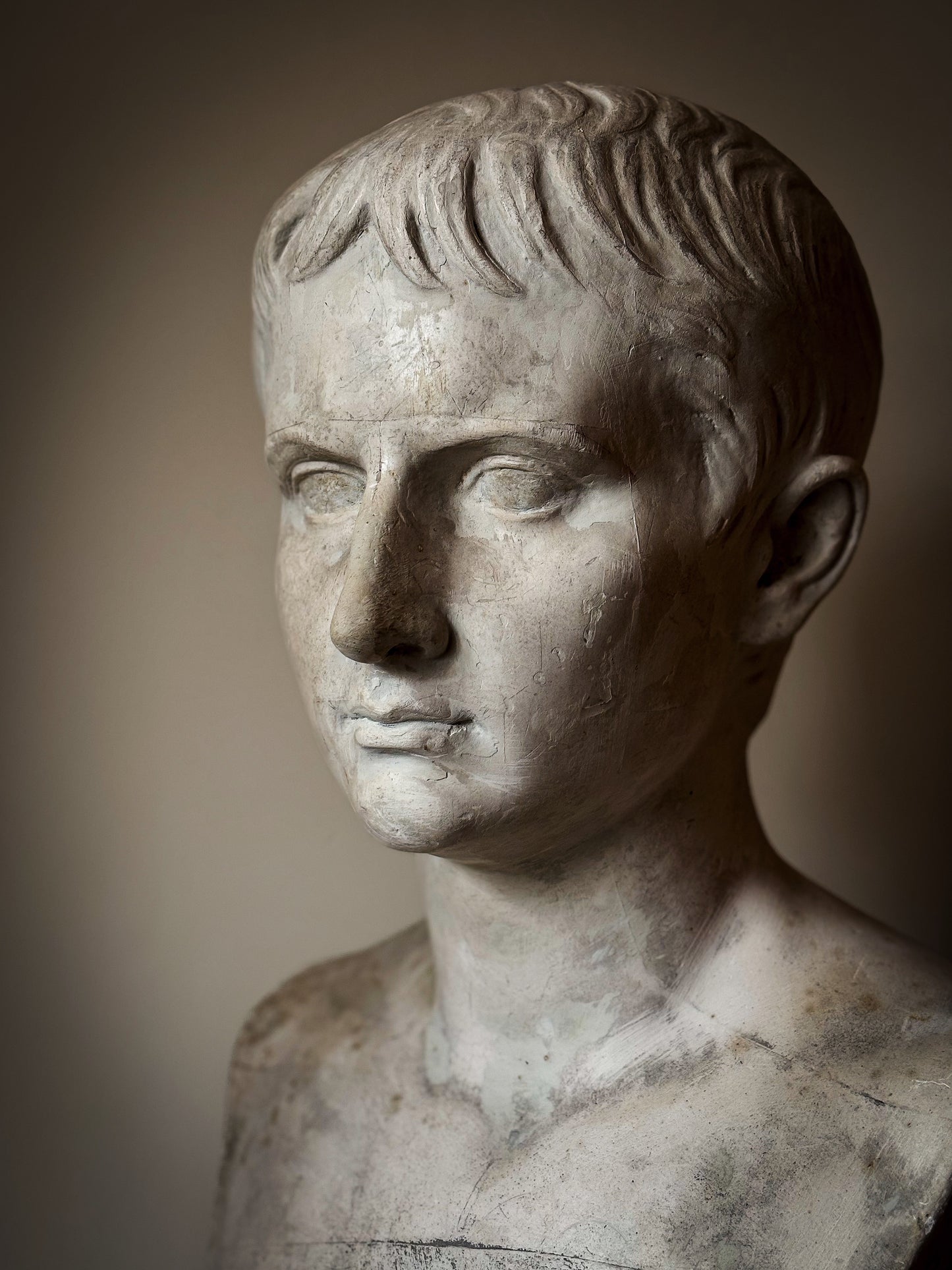 19th Century Bust of Young Augustus - D Brucciani & Co