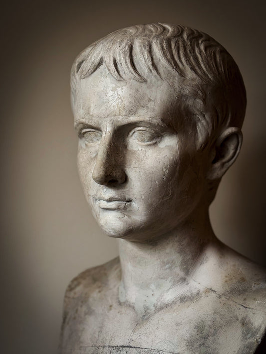 19th Century Bust of Young Augustus - D Brucciani & Co