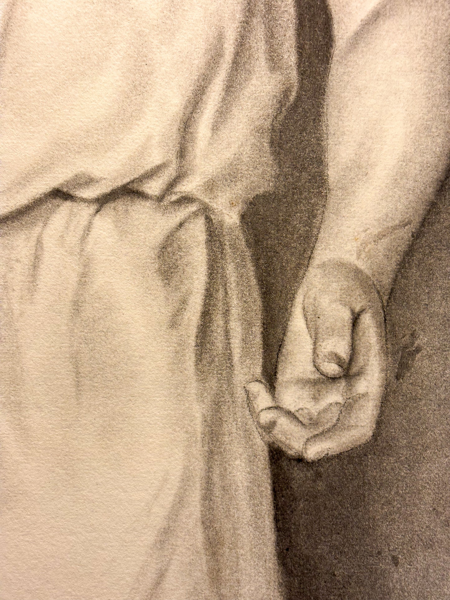 Cast drawing after the Capitoline Antinous