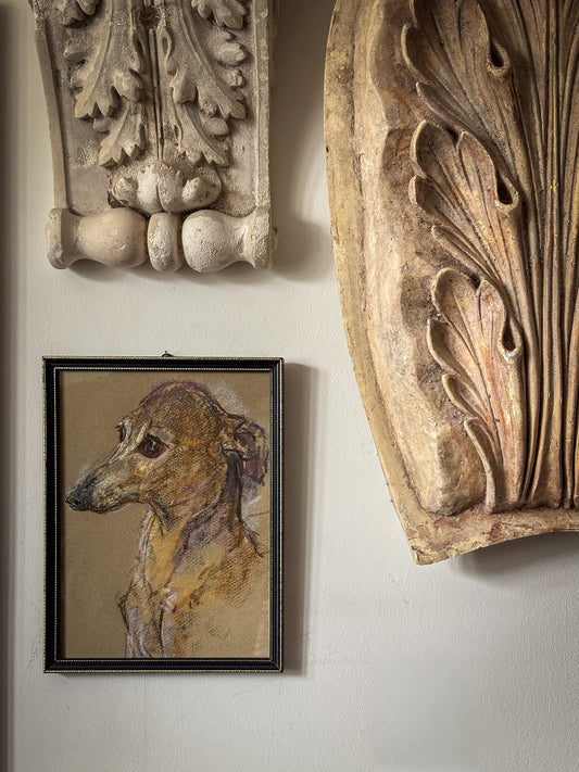 English Pastel Portrait of a Whippet (or Italian Greyhound) Dog