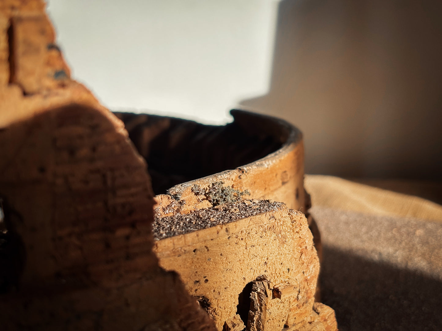 Cork Model of The Colosseum, Rome.