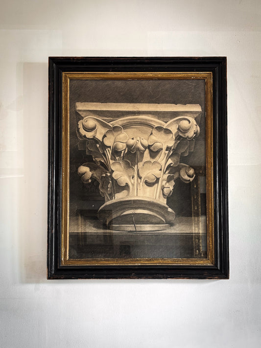 19th Century Academic Study of a Corinthian Capital