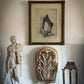 19th Century South Kensington Academic Study of Classical Feet