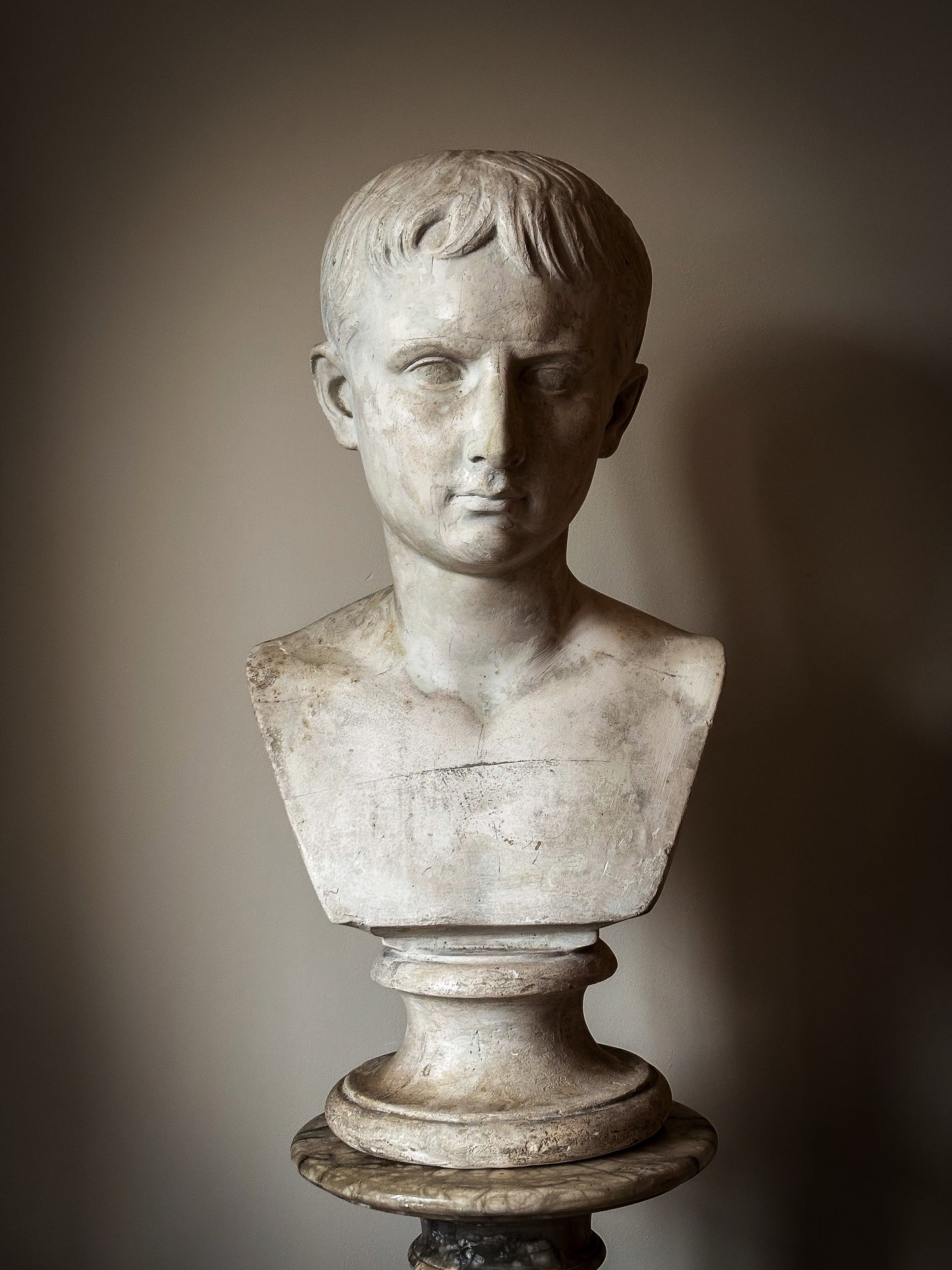 19th Century Bust of Young Augustus - D Brucciani & Co