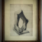 19th Century South Kensington Academic Study of Classical Feet
