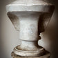 19th Century Bust of Young Augustus - D Brucciani & Co