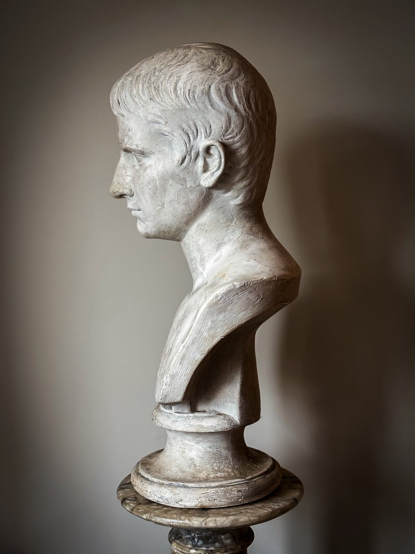 19th Century Bust of Young Augustus - D Brucciani & Co