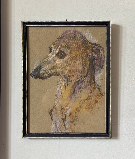 English Pastel Portrait of a Whippet (or Italian Greyhound) Dog
