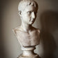 19th Century Bust of Young Augustus - D Brucciani & Co