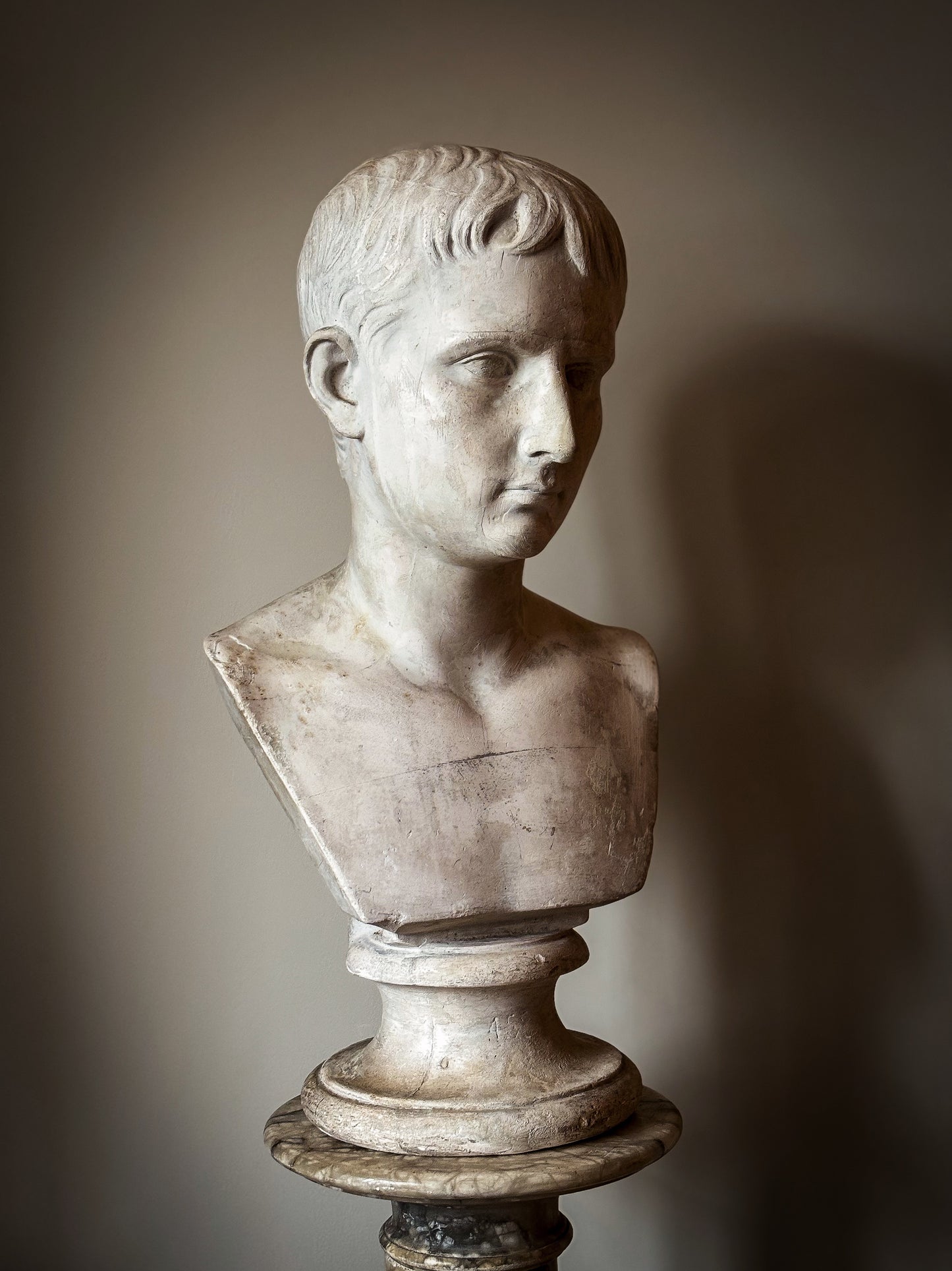 19th Century Bust of Young Augustus - D Brucciani & Co