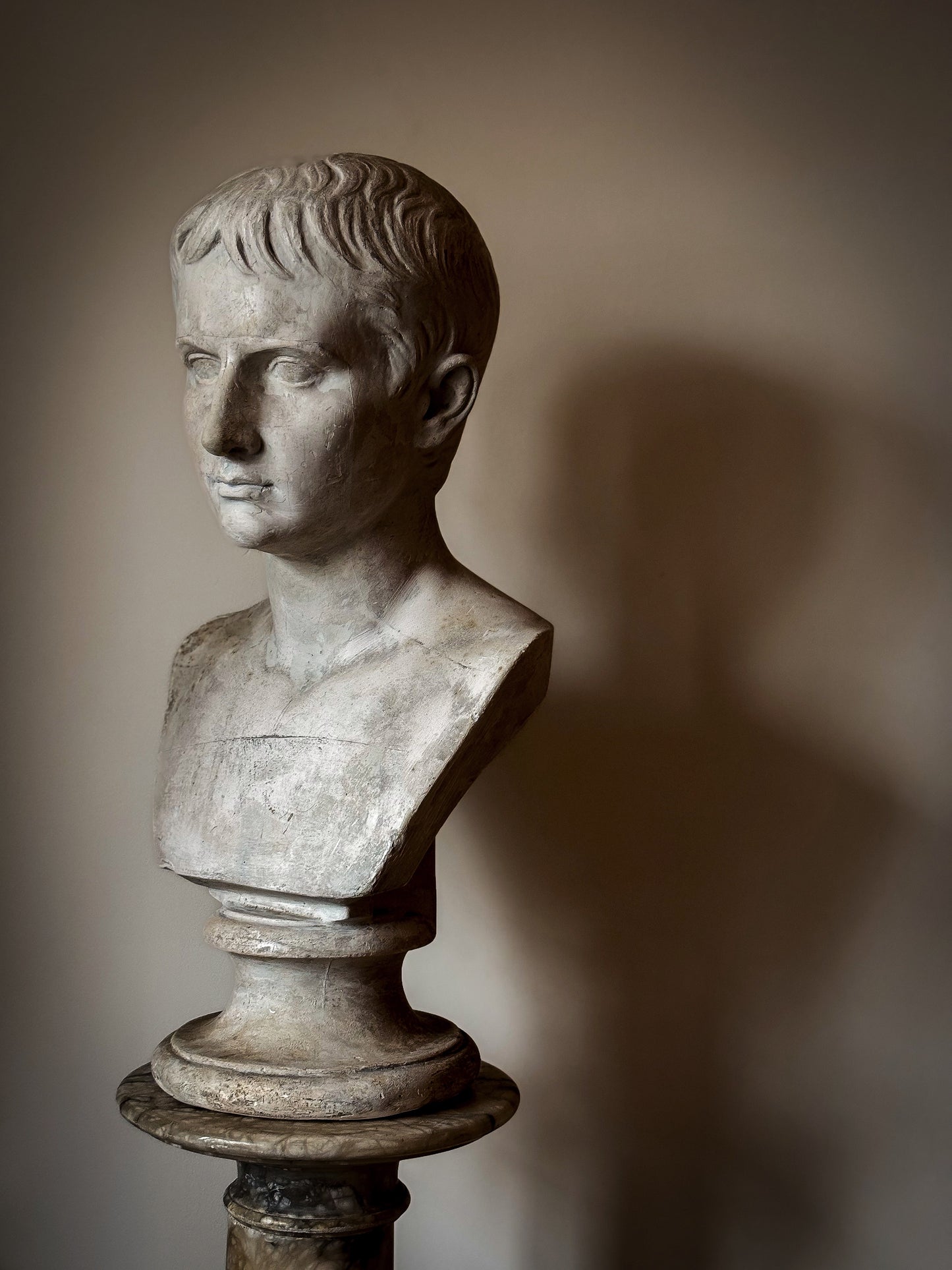 19th Century Bust of Young Augustus - D Brucciani & Co